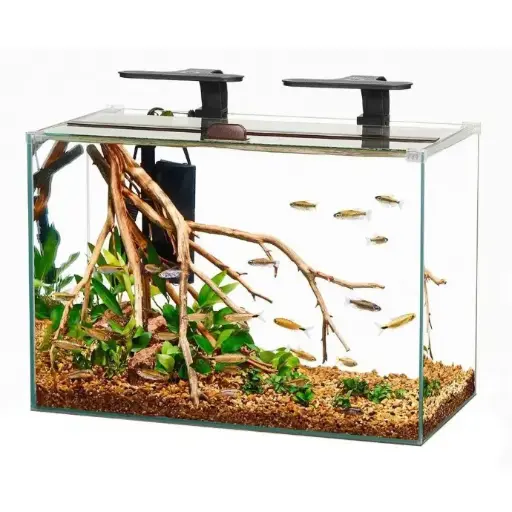 40 liter Aquarium